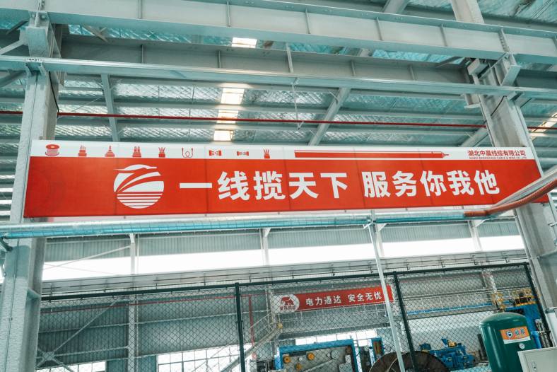 青岛布电线报价详情，快来了解最新价格动态